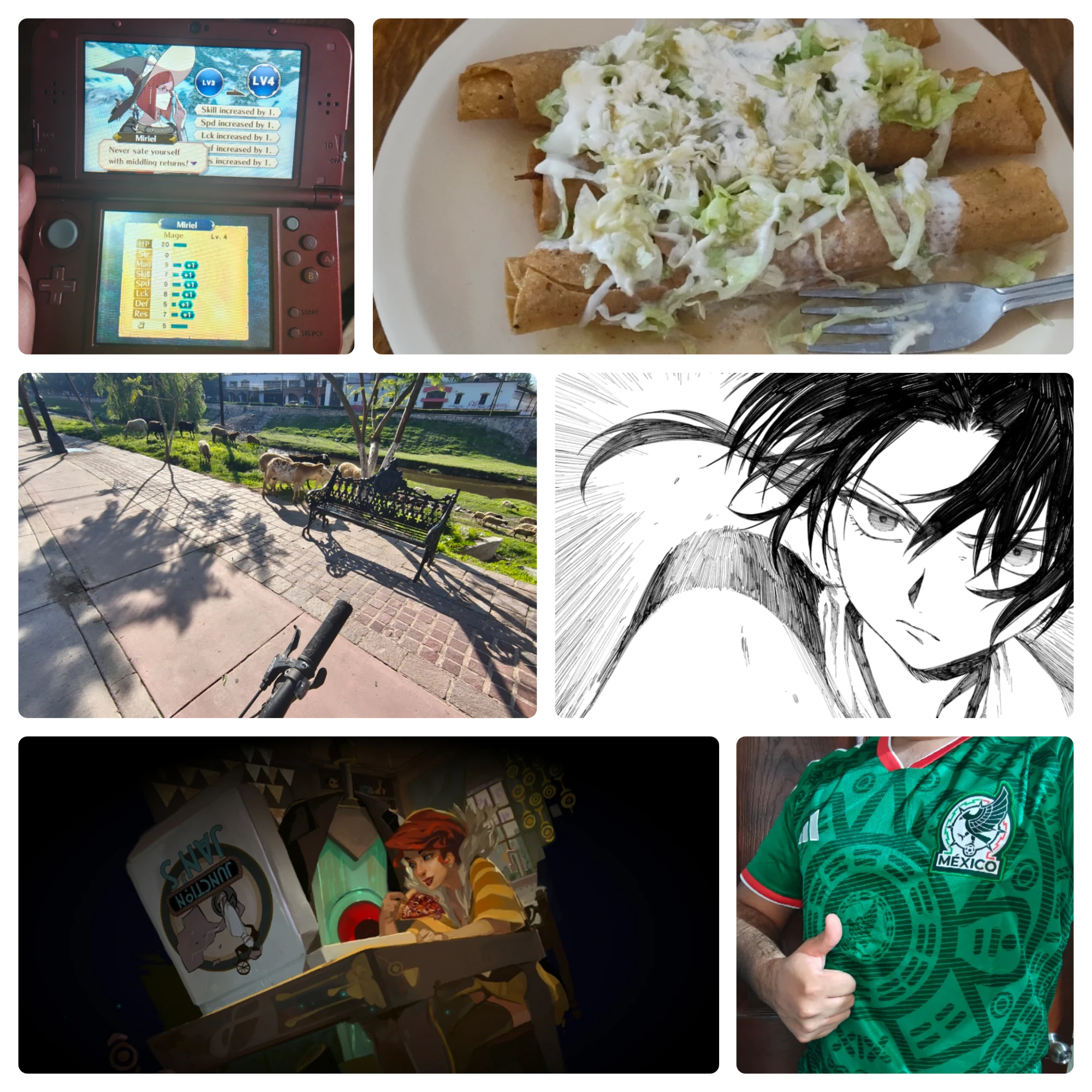 Collage of the Week